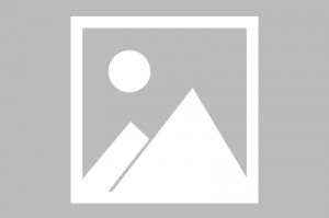 玩声控游戏测评-玩声控游戏测评怎么写