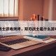 双刃战士游戏测评，双刃战士是什么游戏公司