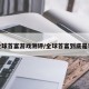 全球首富游戏测评/全球首富到底是谁